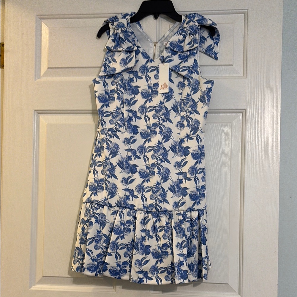 Floral Blue and White Sleeveless Dress